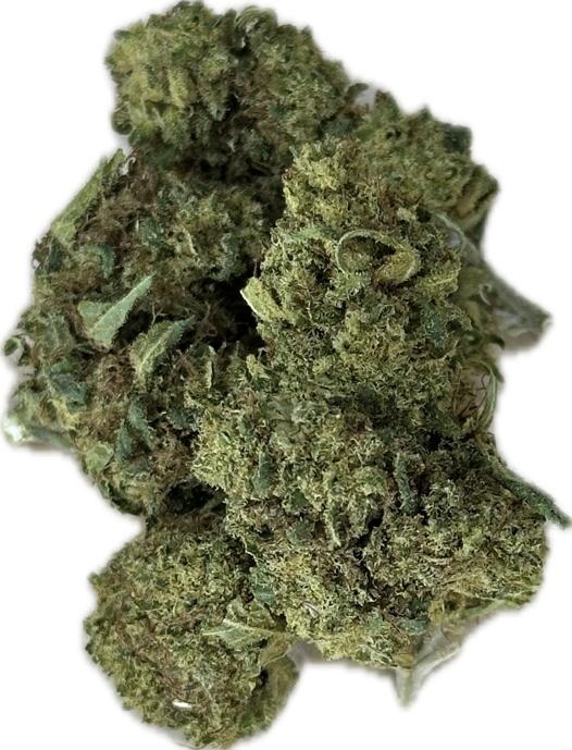 Amnesia