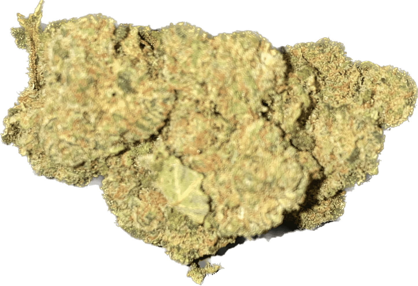 AK - 47 - SPUMONI