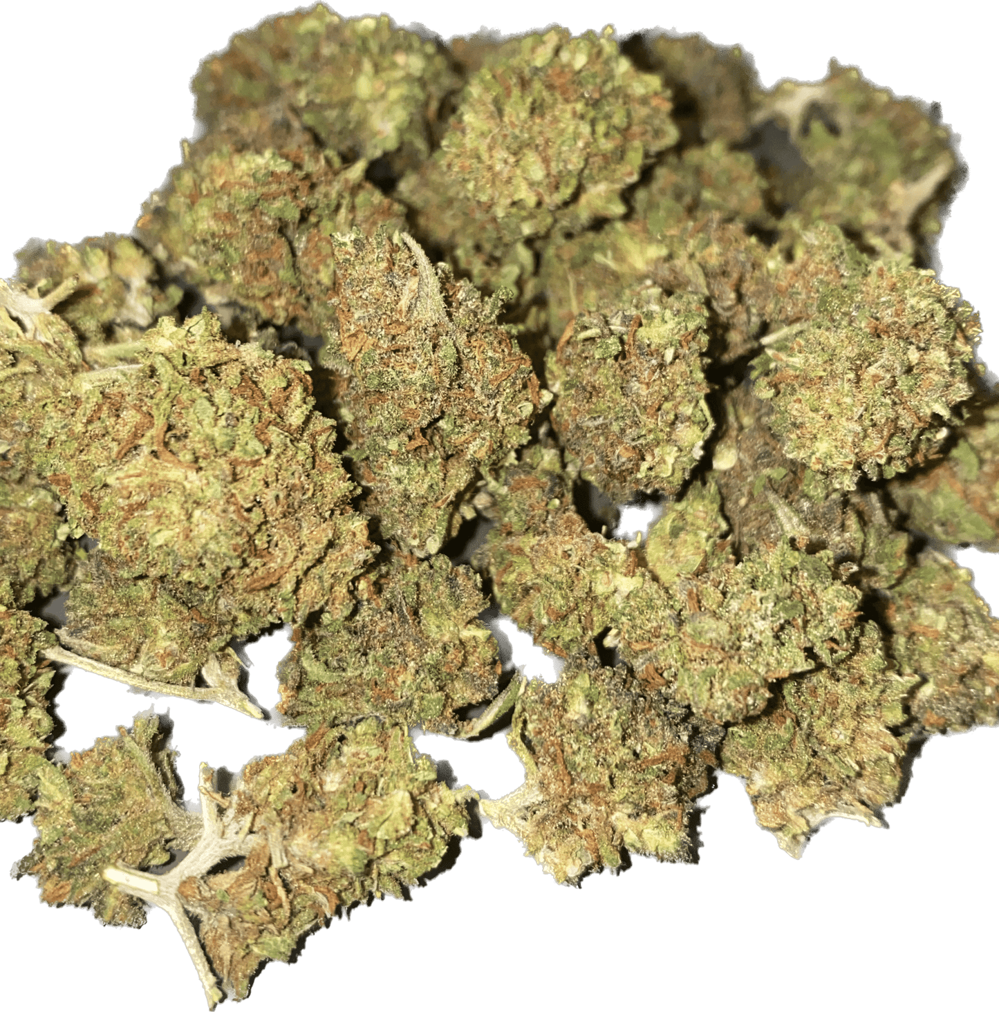 AK - 47 small buds - SPUMONI