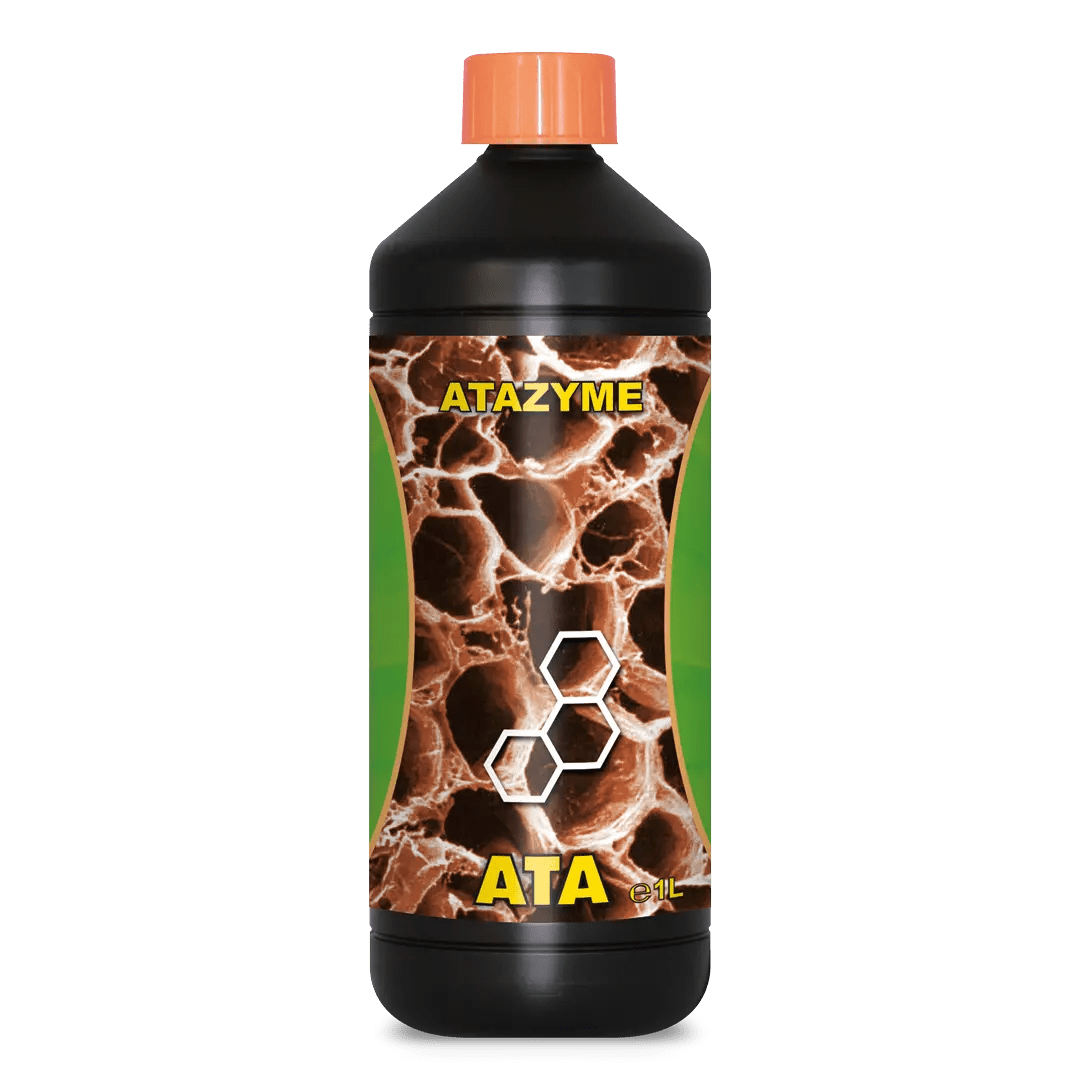 ATA ATAZYME - SPUMONI