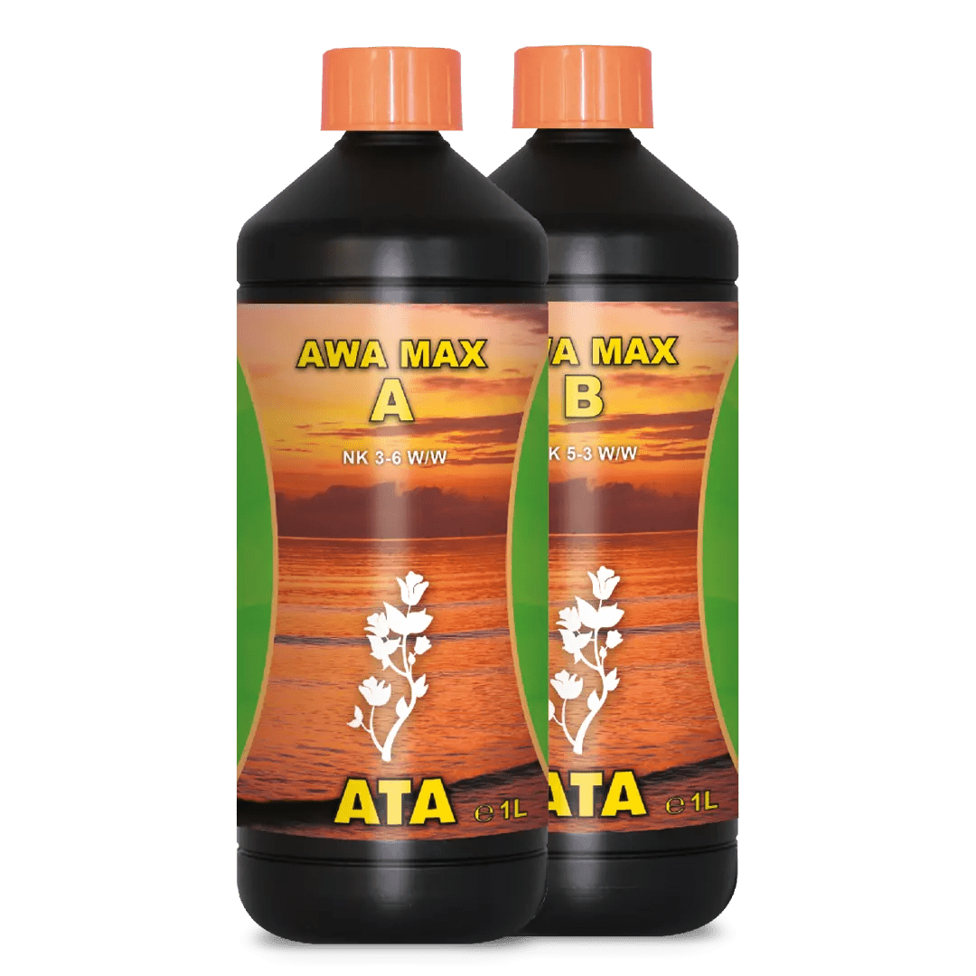ATA AWA MAX A&B - SPUMONI