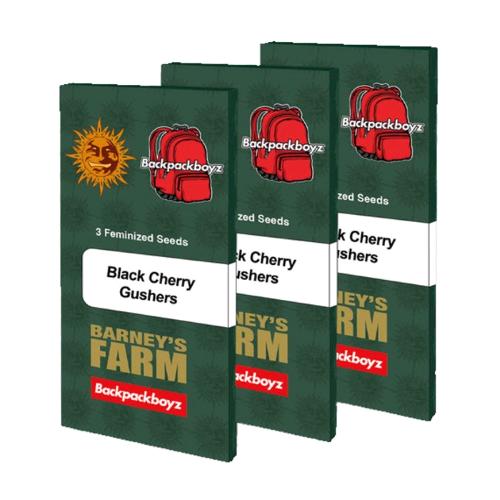 BARNEY'S FARM X BACKPACKBOYZ - BLACK CHERRY GUSHERS - SPUMONI