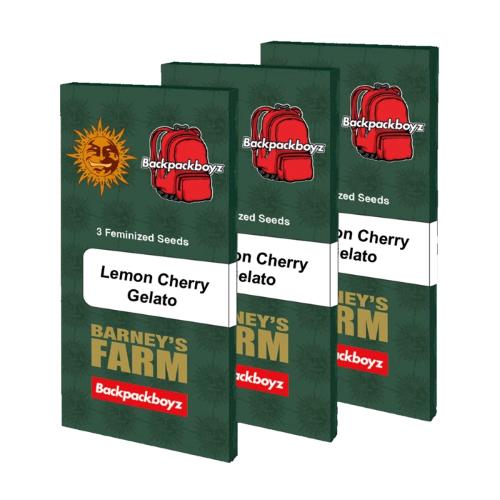 BARNEY'S FARM X BACKPACKBOYZ - LEMON CHERRY GELATO - SPUMONI