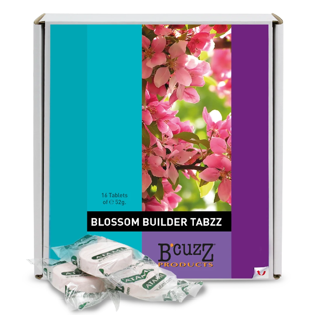 B’CUZZ BLOSSOM BUILDER TABZZ - SPUMONI