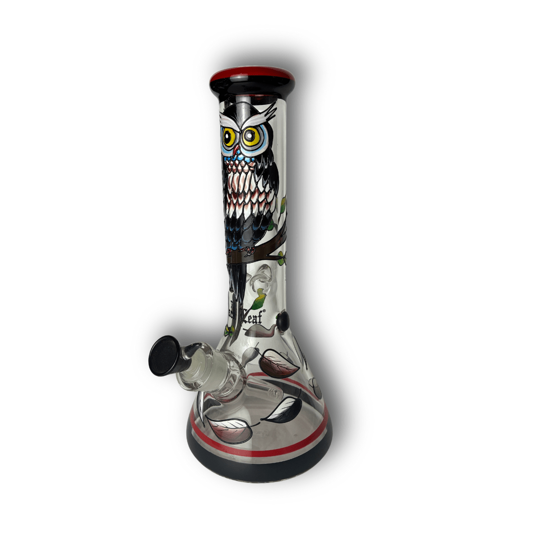 BlackLeaf | Bong di vetro | Bong con gufo | Accessorio per fumatori - SPUMONI