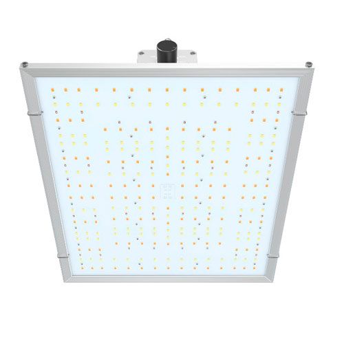 | Nanolux Led modello RG 150 w | Massima resa 2gr/watt | Grow Light | Grow Spectrum/UV/IR | - SPUMONI