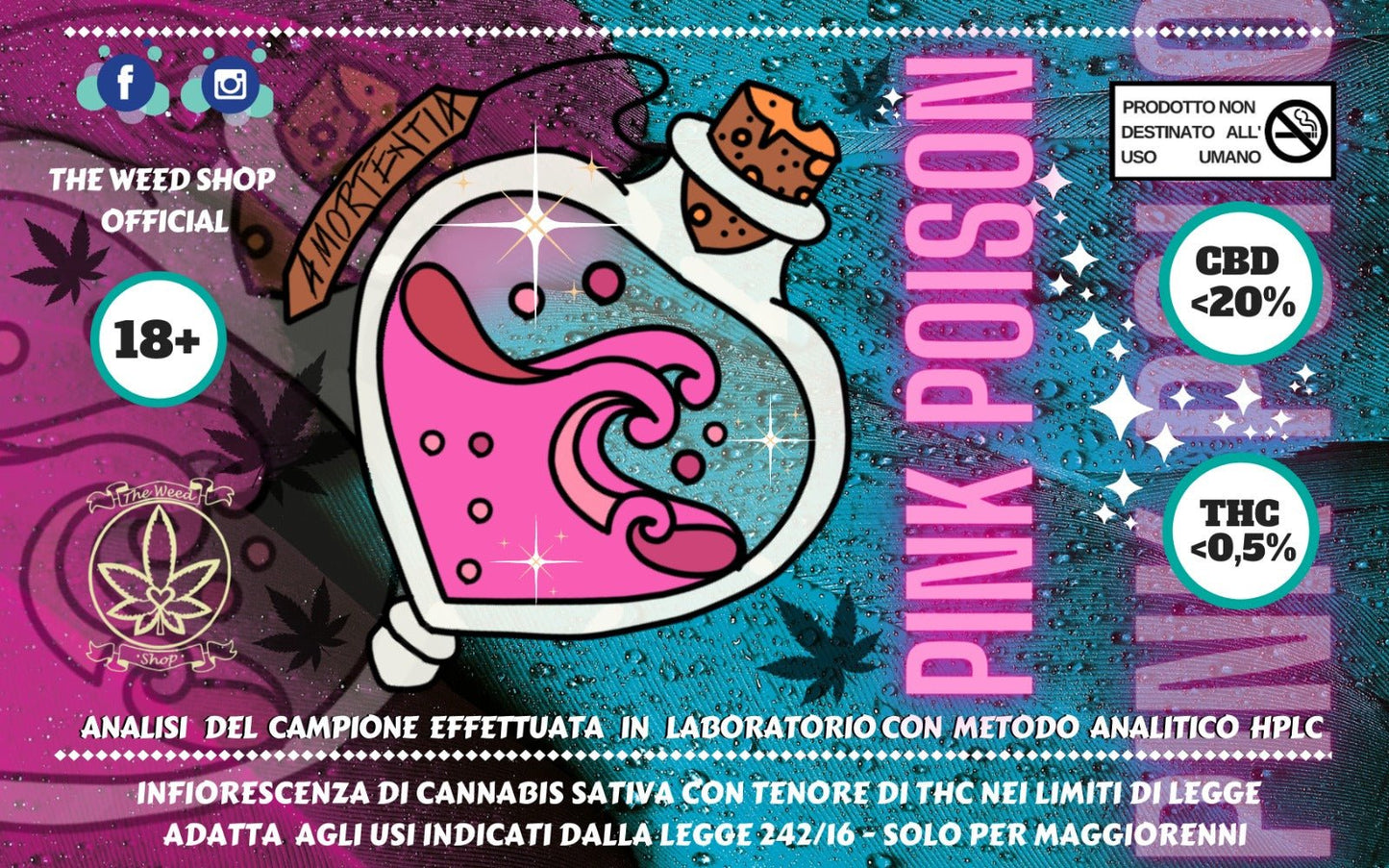 PROVALE TUTTE INDOOR! - SPUMONI