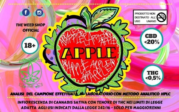 PROVALE TUTTE INDOOR! - SPUMONI