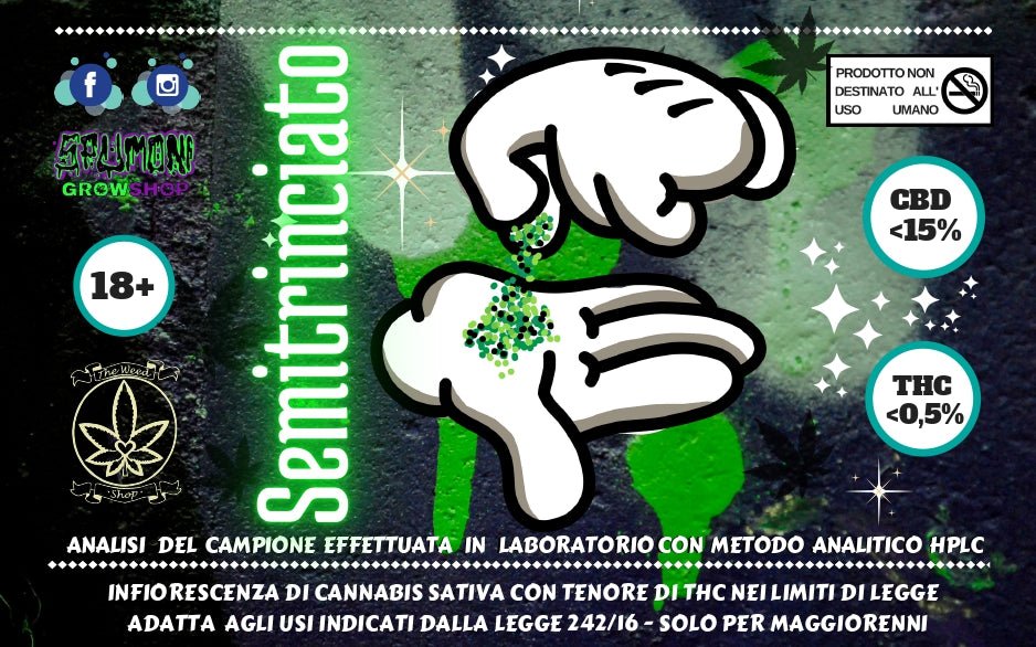 Semitrinciato - SPUMONI