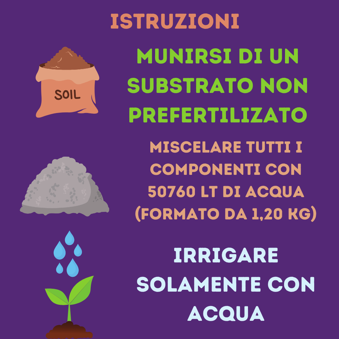 Supersoil 4 componenti 1,2kg - SPUMONI