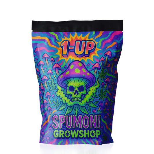 1- Up