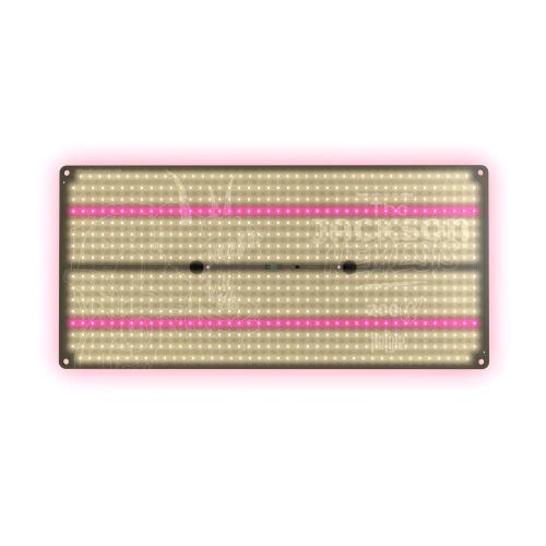 THE JUNGLE - THE JACKSON NEMESIS - DIMMABLE 200W