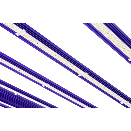 LUMATEK - LED ZEUS 1000W PRO EVO 3.1