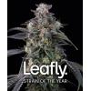 BARNEY'S FARM - SUPER BOOF - LEAFLY STRAIN OF THE YEAR