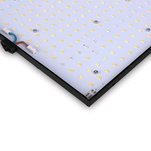 PHYTOLITE - RESINA Q-BOARDS 120