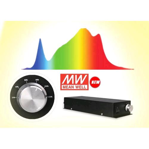 PHYTOLITE - RESINA Q-BOARDS 120