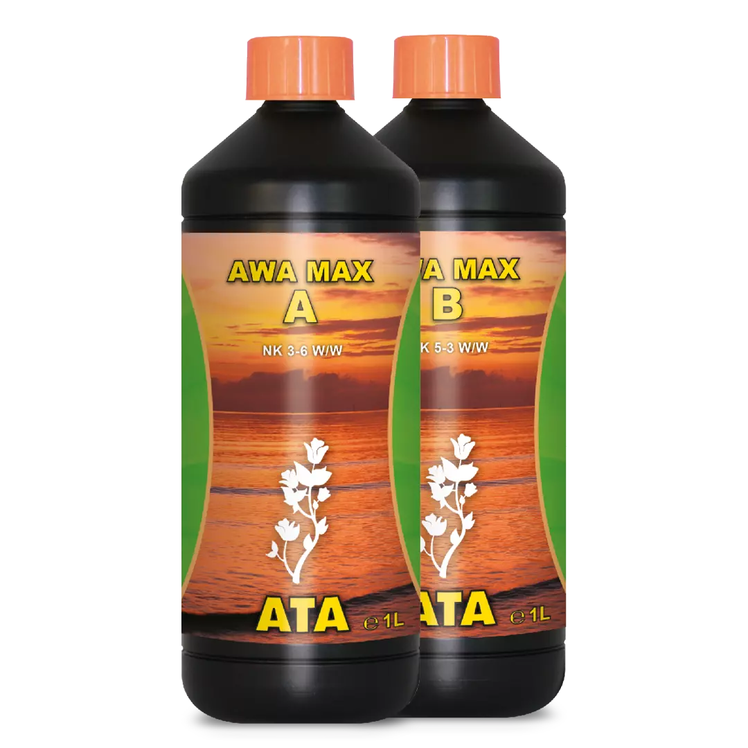 ATA AWA MAX A&B