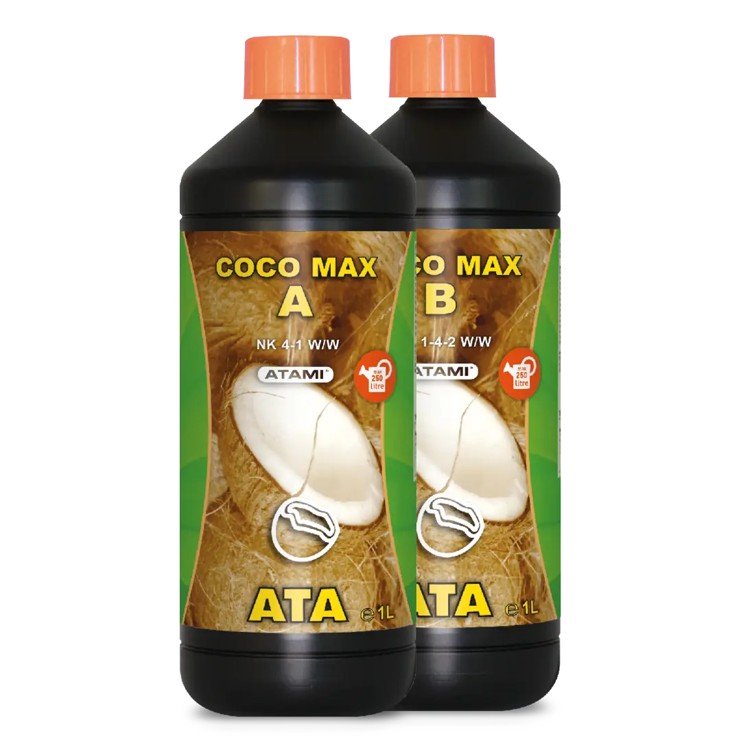 ATA COCO MAX A&B
