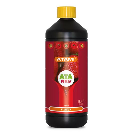 ATA NRG FLAVOR