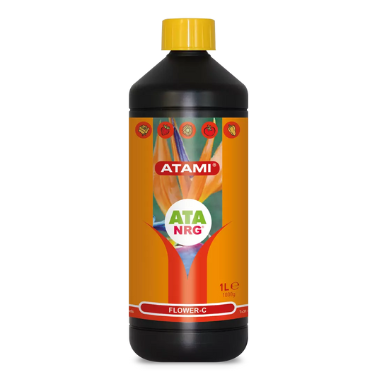 ATA NRG FLOWER-C