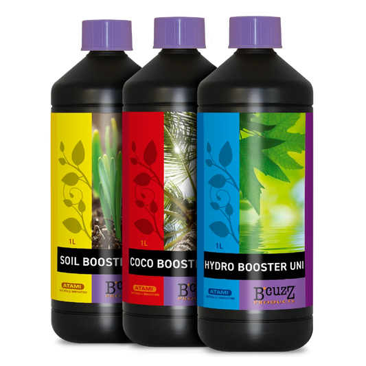 B’CUZZ BOOSTERS UNI