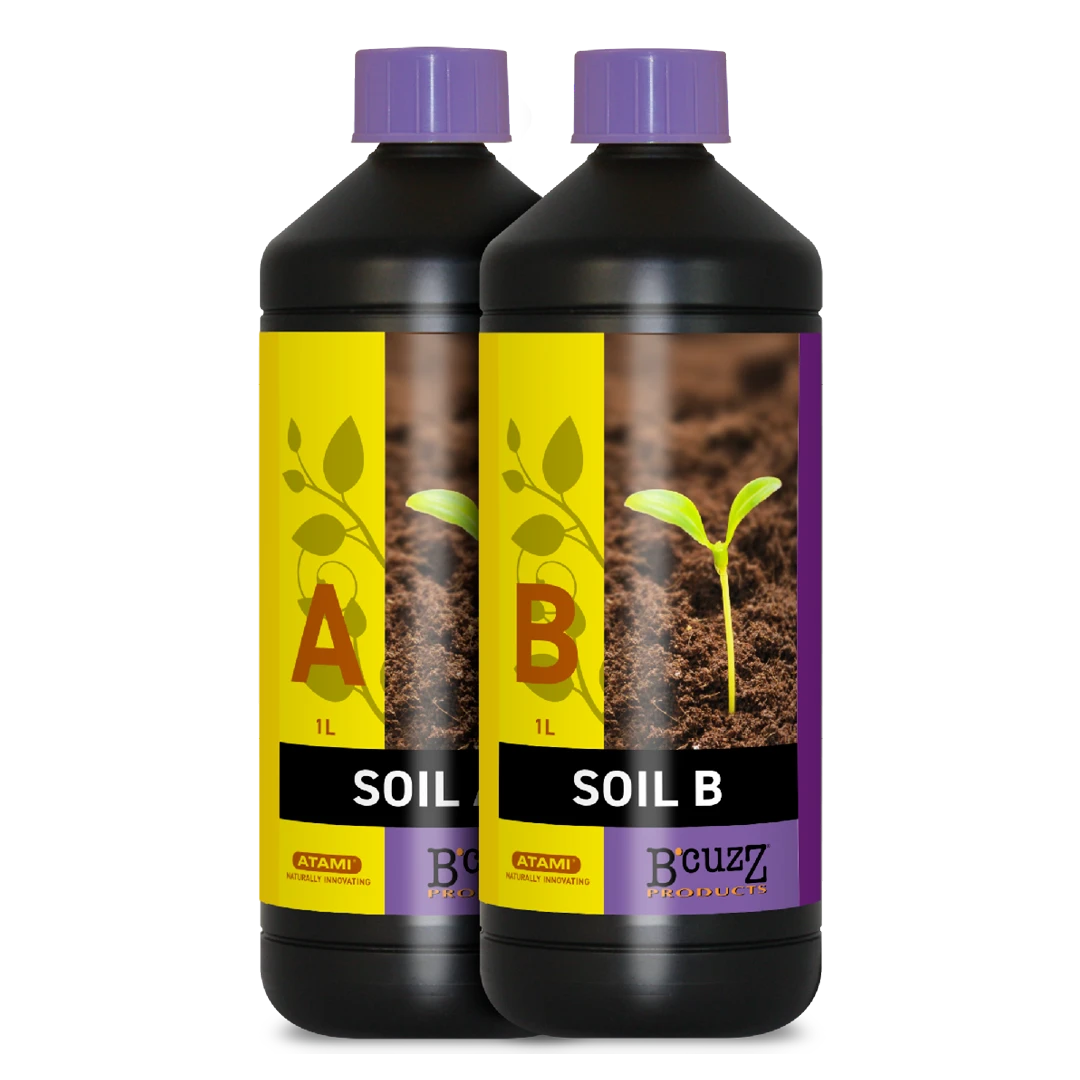 B’CUZZ SOIL A&B
