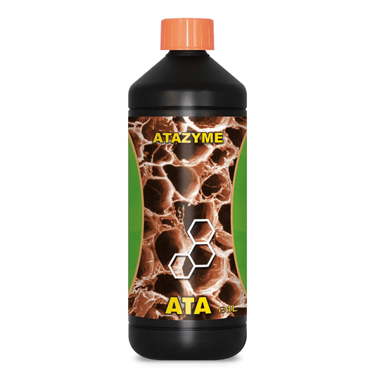 ATA ATAZYME - SPUMONI