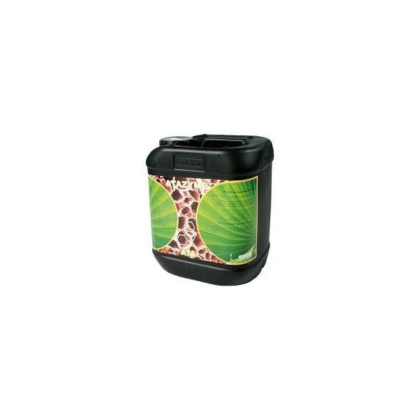 ATA ATAZYME - SPUMONI