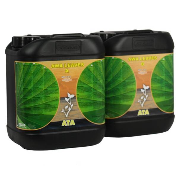 ATA AWA LEAVES A&B - SPUMONI
