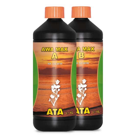 ATA AWA MAX A&B - SPUMONI