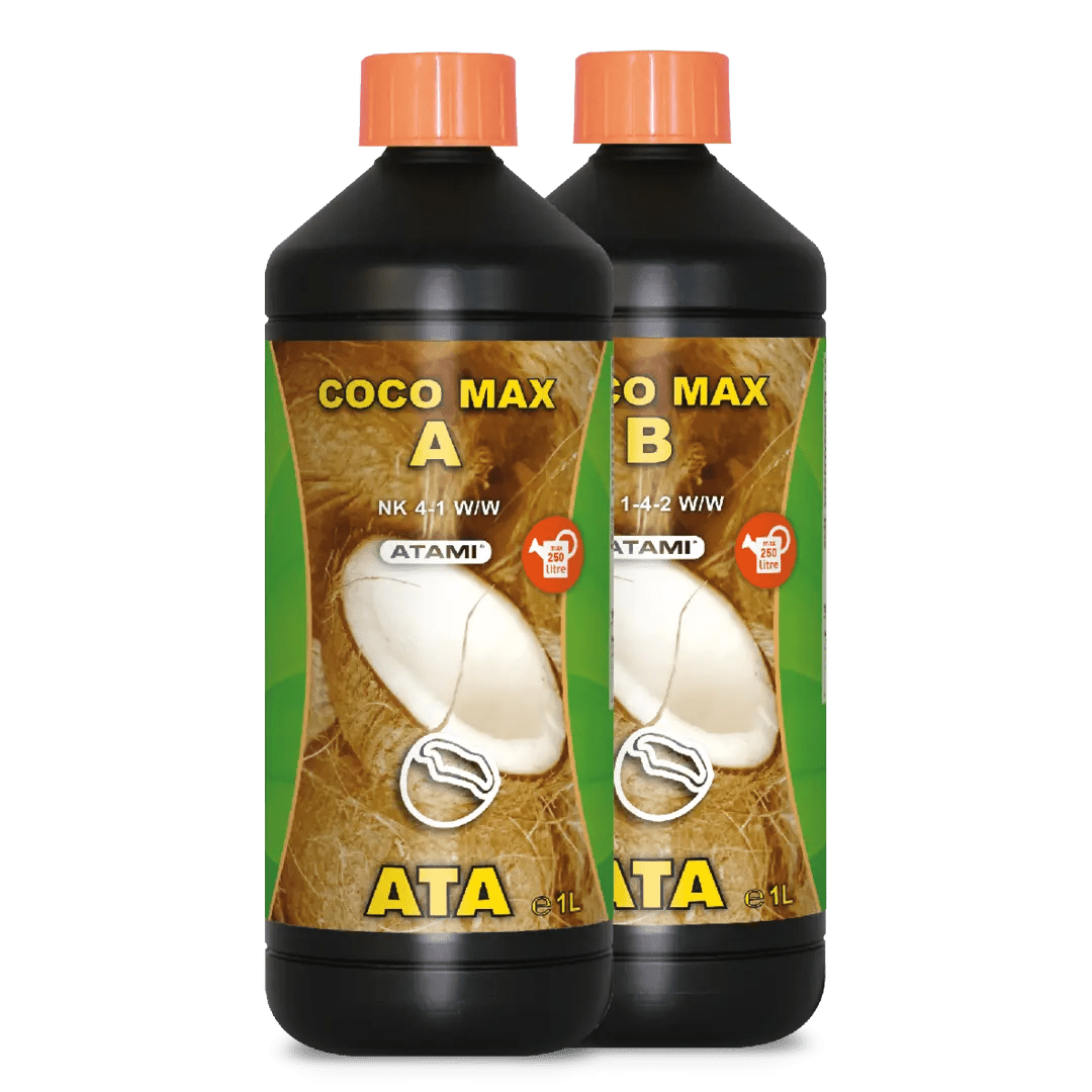 ATA COCO MAX A&B - SPUMONI
