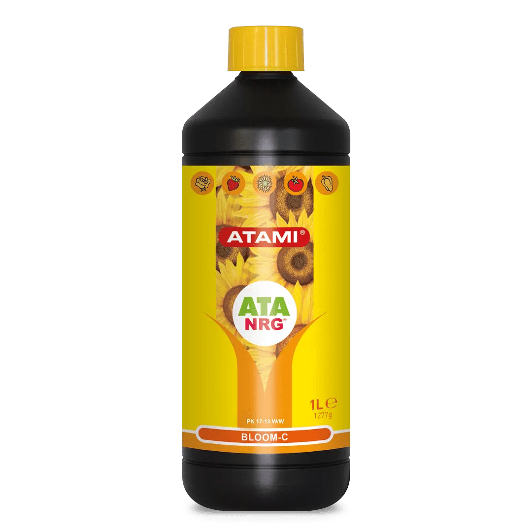 ATA NRG BLOOM - C - SPUMONI