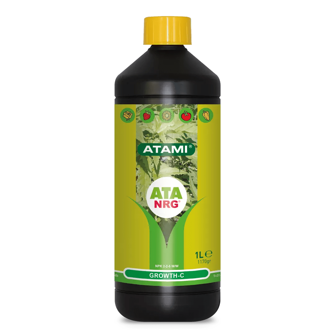 ATA NRG GROWTH - C - SPUMONI