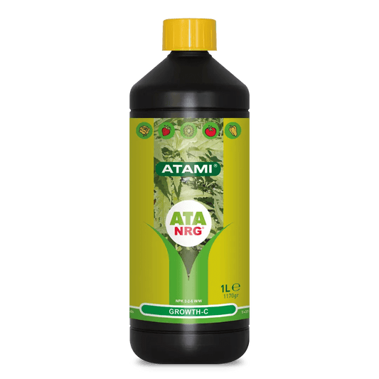 ATA NRG GROWTH - C - SPUMONI