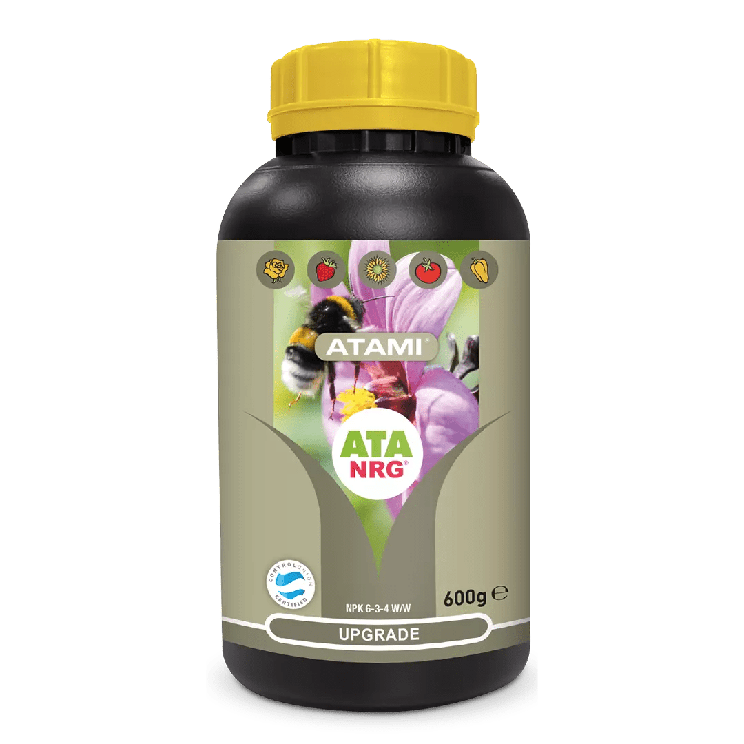ATA NRG UPGRADE - SPUMONI