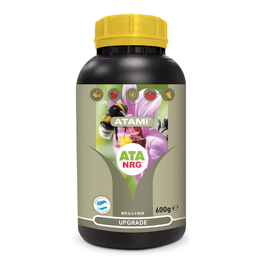 ATA NRG UPGRADE - SPUMONI