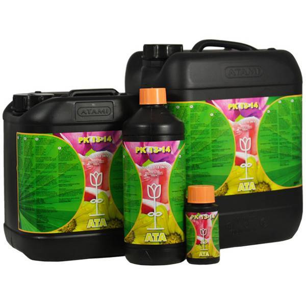 ATA PK 13 - 14 - SPUMONI