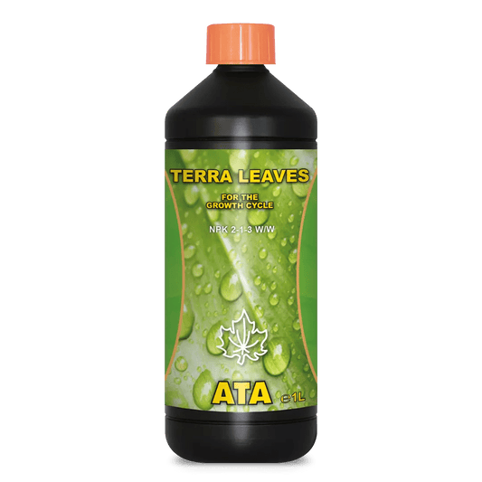 ATA TERRA LEAVES - SPUMONI