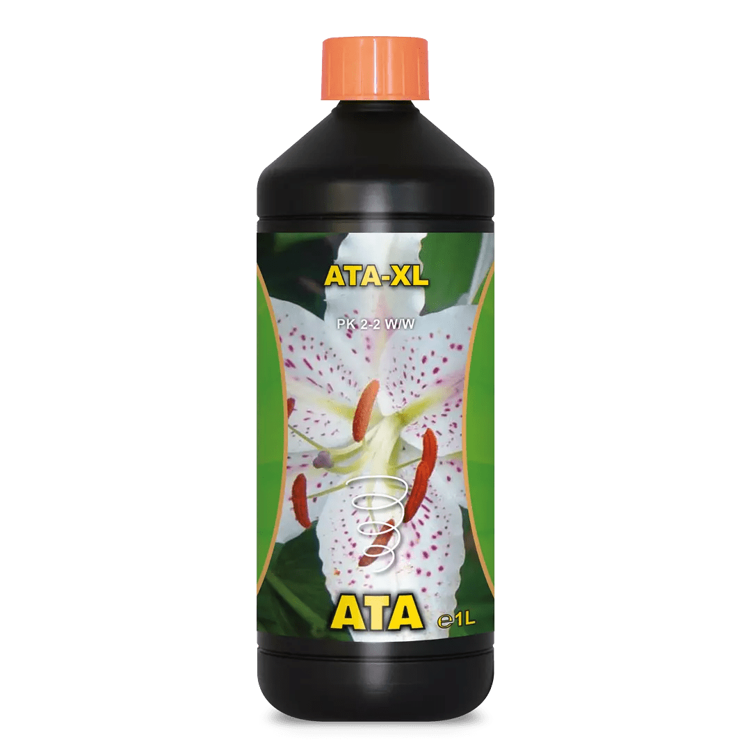 ATA-XL - SPUMONI
