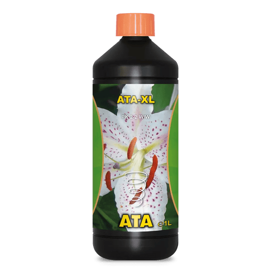 ATA-XL - SPUMONI