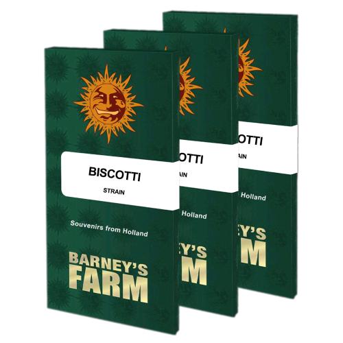BARNEY'S FARM - BISCOTTI FEM - SPUMONI