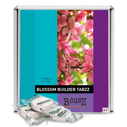 B’CUZZ BLOSSOM BUILDER TABZZ - SPUMONI