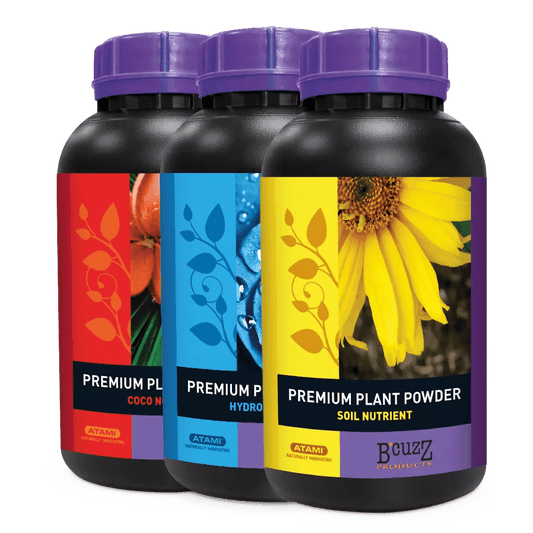 B’CUZZ PREMIUM PLANT POWDER - SPUMONI