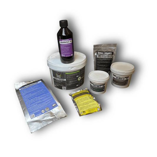| Dogma Box | Dogma Organics | Pack Completo | Formato maxi - SPUMONI