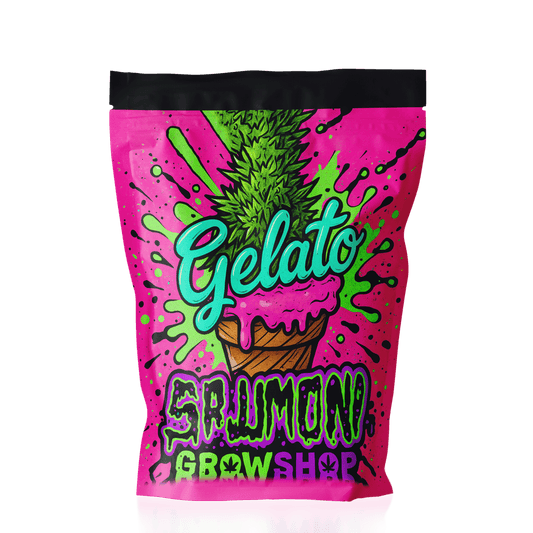 Gelato - SPUMONI