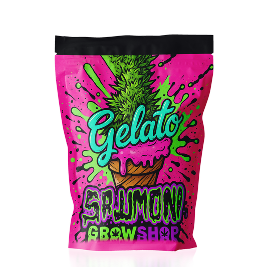 Gelato