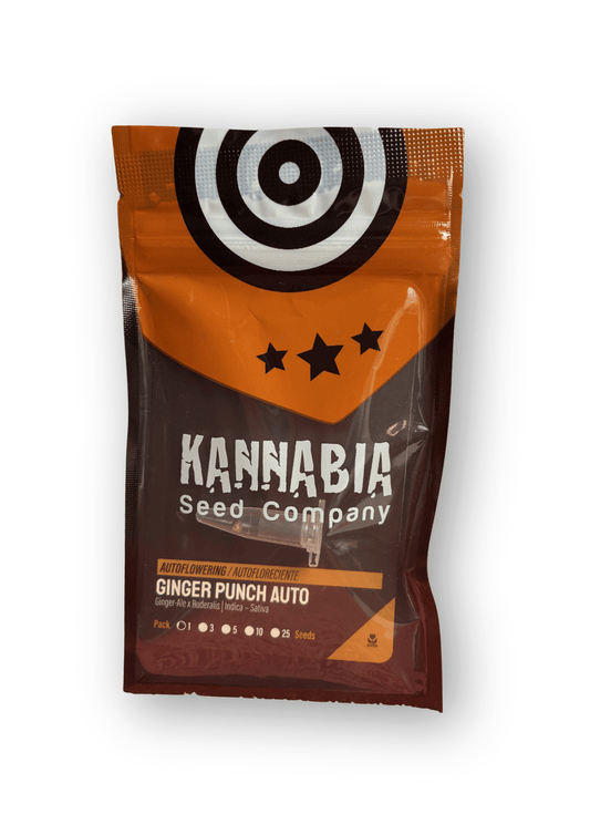 KANNABIA | Ginger Punch Auto | Semi Autofiorenti - SPUMONI