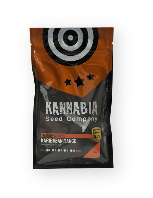 KANNABIA | Karibbean Mango | Semi Fotoperiodici Femminizati - SPUMONI