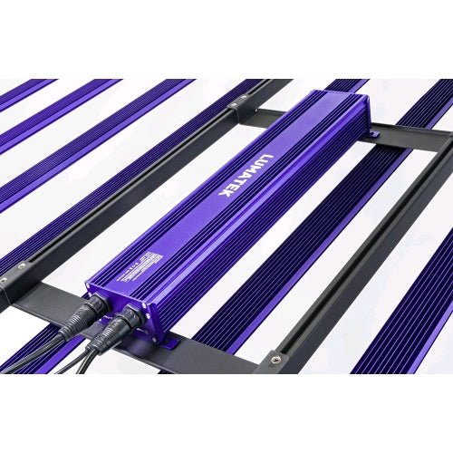 LUMATEK - LED ZEUS 1000W PRO EVO 3.1 - SPUMONI