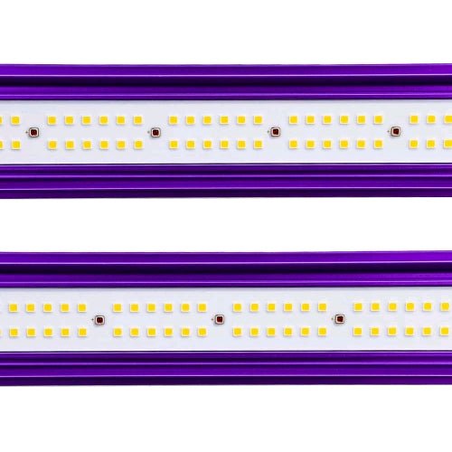 LUMATEK - LED ZEUS 600W PRO 2.9 - SPUMONI